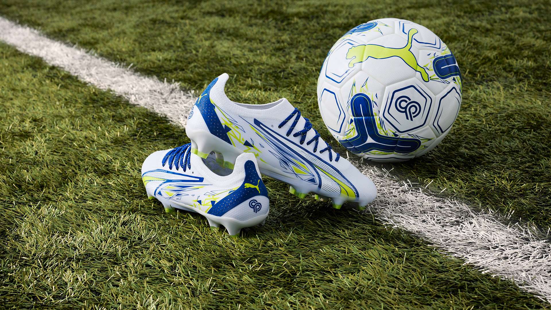 这不仅表现 这不仅表现