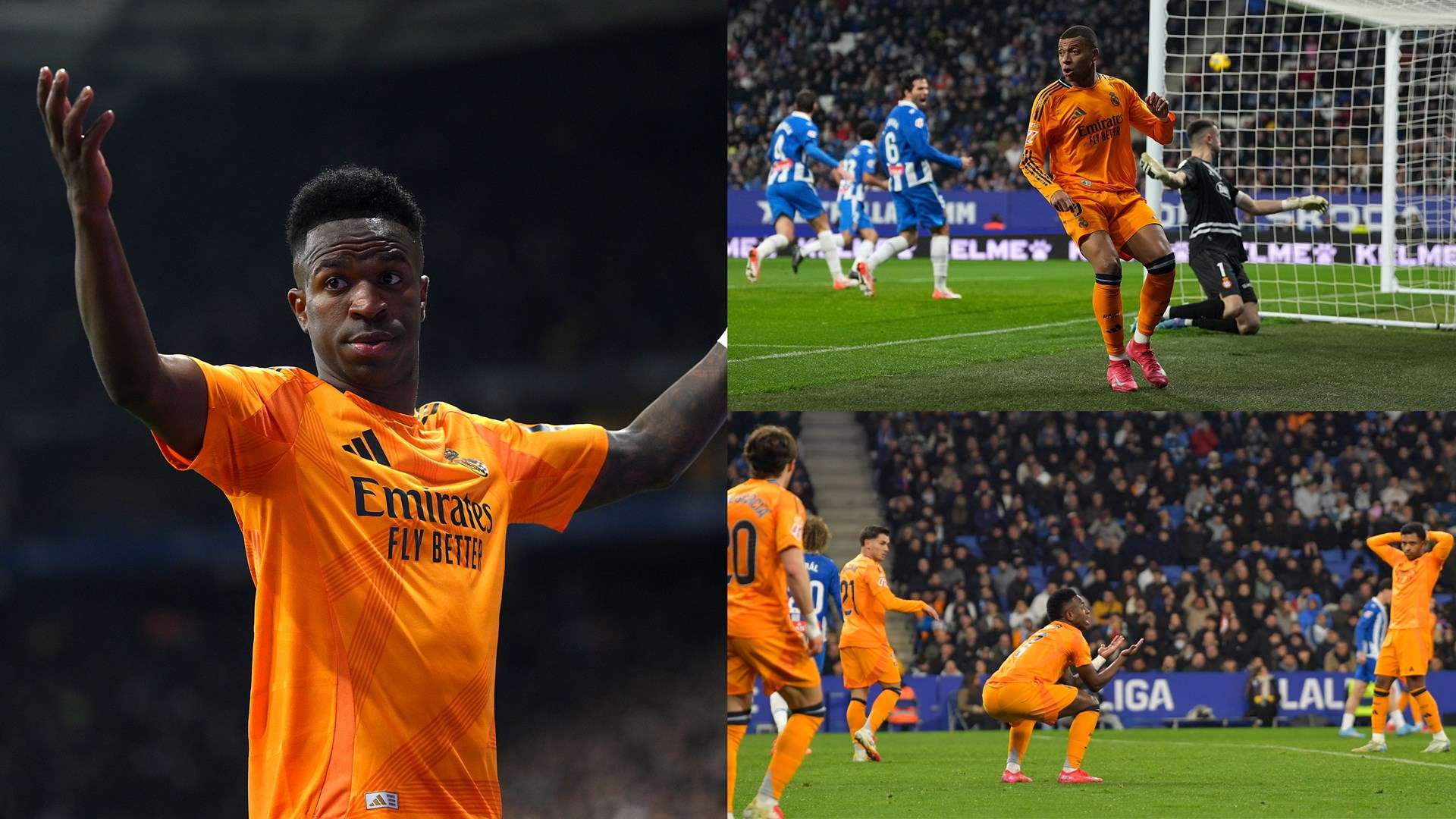 它背後更大 它背後更大