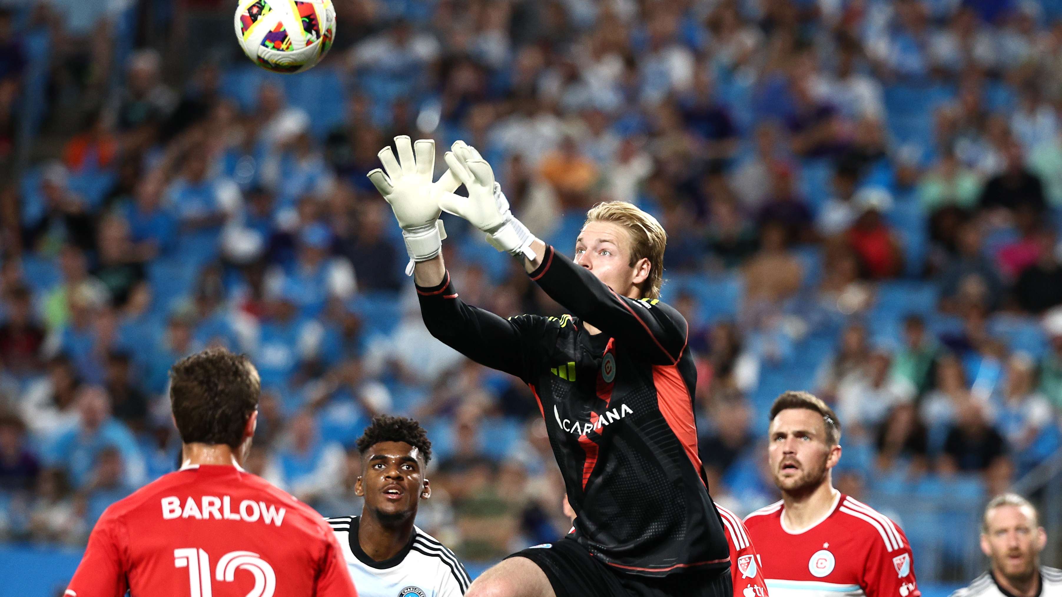 训练的回报 训练的回报